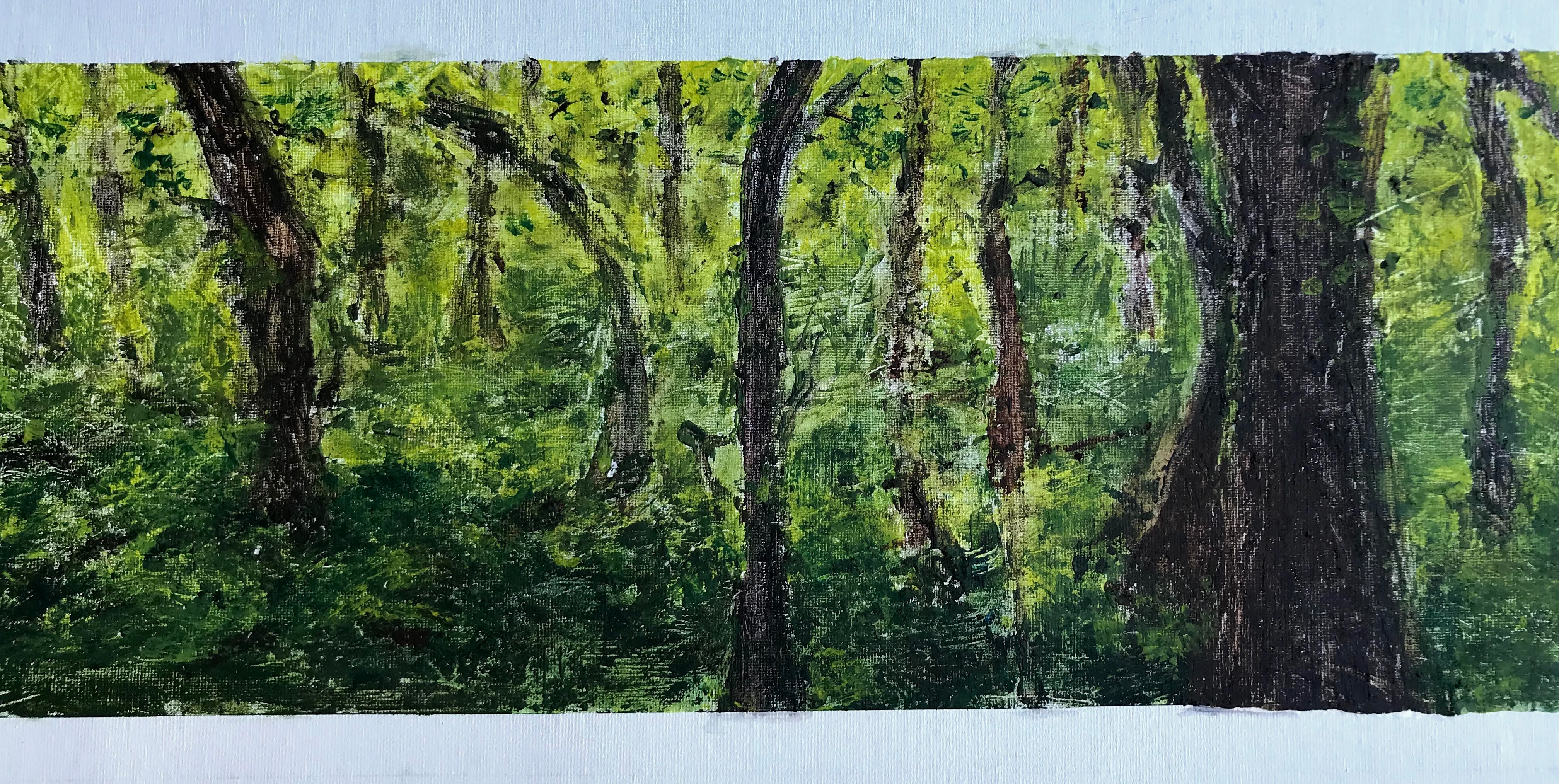 A pilgrimage through Ancient woodlands