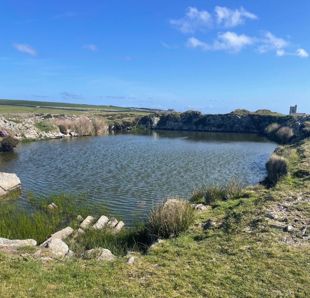 Mindful Walking at Lundy Rocket Pole&nbsp;Pond