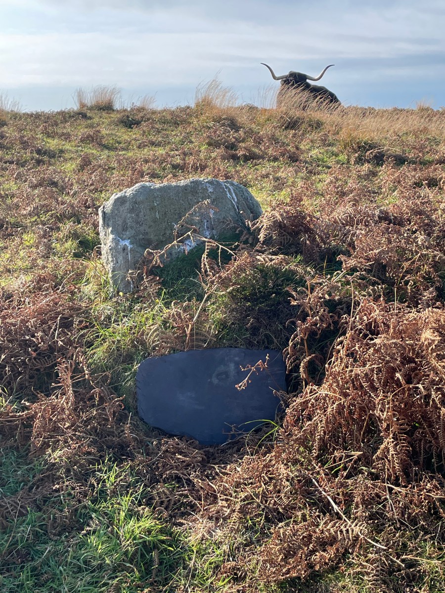 The Mystique of Lundy’s Unique&nbsp;Landscape