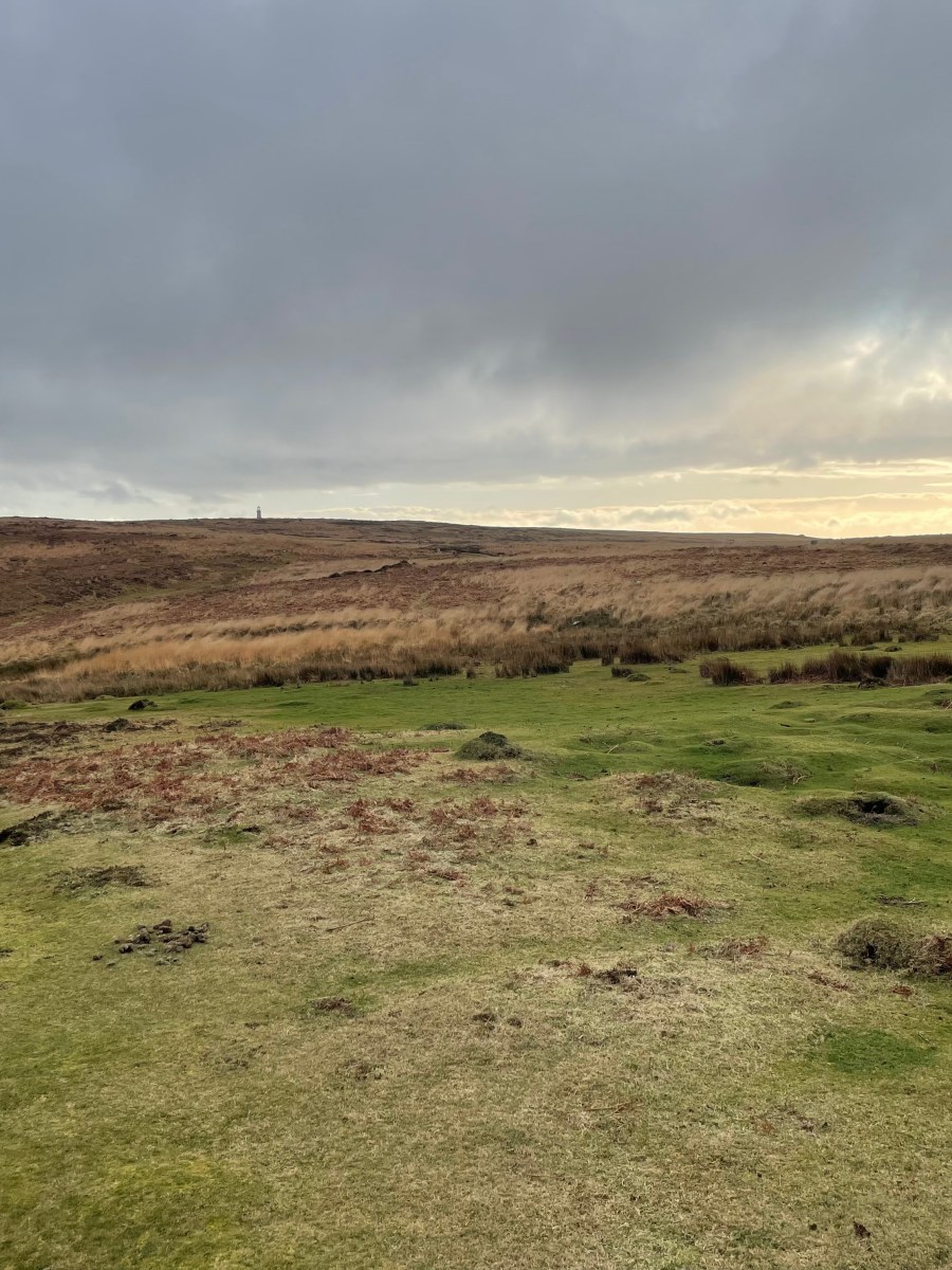 Heathcliff’s Influence: Lundy’s Dramatic&nbsp;Landscape